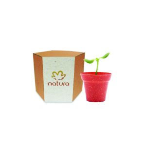 Kit Cultivo Ecológico Personalizado