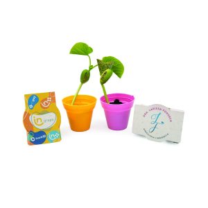 Kit Cultivo Plantio Personalizado 