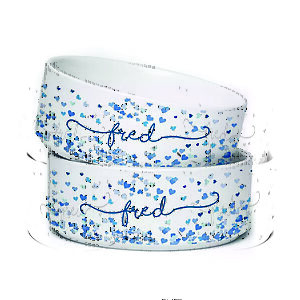 Comedouro Pet de Ceramica Personalizado com Nome 500 ml