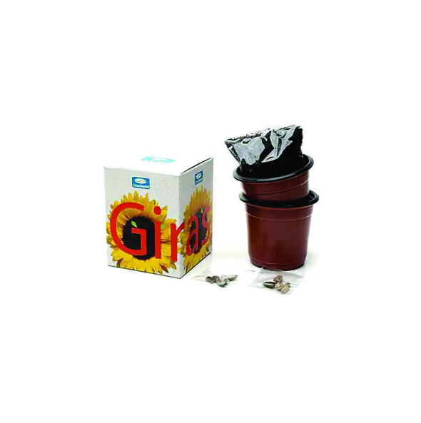 Kit Cultivo Girassol Personalizado