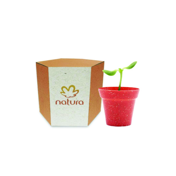 Kit Cultivo Sustentável Personalizado