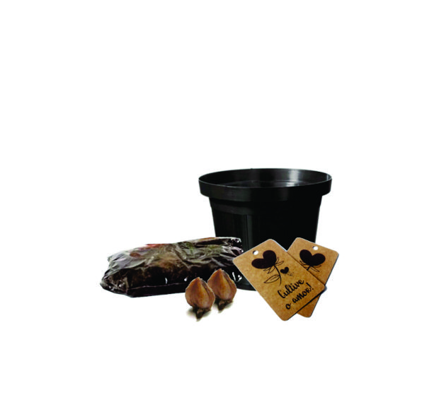 Kit Cultivo Trevo de 4 Folhas Personalizado