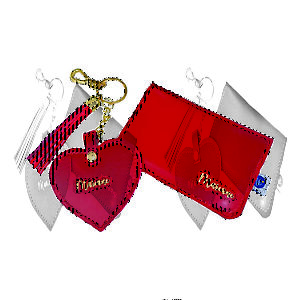 Kit porta cartão com chaveiro