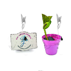 Kit Cultivo Plantio Personalizado