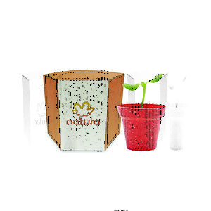 Kit Cultivo Sustentável Personalizado