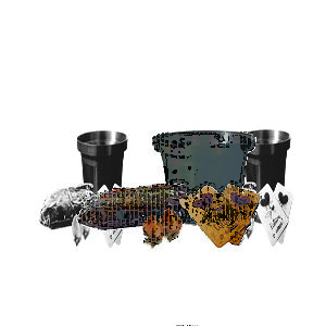 Kit Cultivo Trevo de 4 Folhas Personalizado