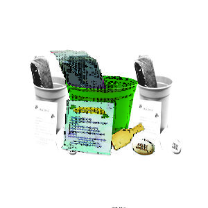 Kit Cultivo semente Personalizado