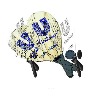 Kit Praia Frescobol Personalizada